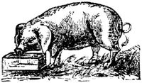 EAC010BB.JPG
