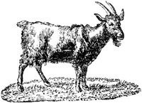 EAC010A.JPG