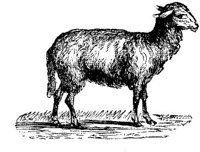 EAC008S.JPG