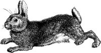 AMB088A.JPG