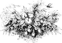 VSI084H.JPG