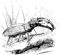 VSI074C.JPG