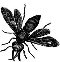 TAN104C.JPG