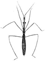 TAN103U.JPG