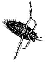 TAN103I.JPG
