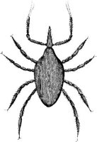 TAN099O.JPG