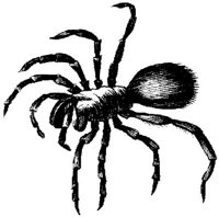 TAN096D.JPG