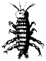 TAN095A.JPG