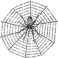 SIT078K.JPG