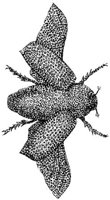 HPN023AT.JPG