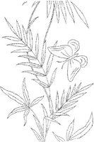 FLM082A.JPG