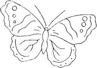 FLM079C.JPG