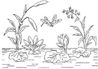 FLM078D.JPG