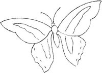 FLM078C.JPG