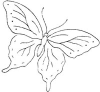 FLM078B.JPG