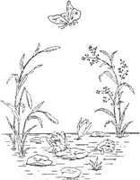 FLM078A.JPG