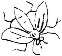 FLM075B.JPG
