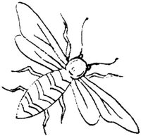 FLM074D.JPG