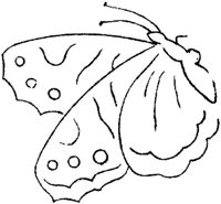FLM073C.JPG