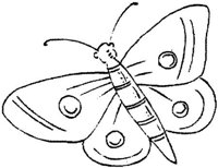 FLM073B.JPG