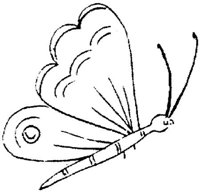 FLM072E.JPG