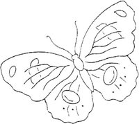 FLM072A.JPG