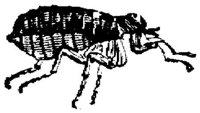 EAC029Z.JPG