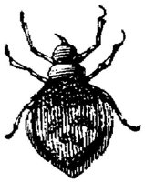 EAC029X.JPG