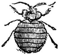 EAC029W.JPG