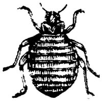 EAC029V.JPG
