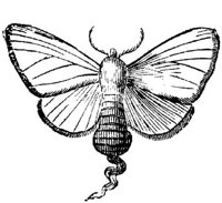EAC029R.JPG