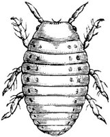 EAC029QQ.JPG