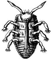 EAC029PP.JPG