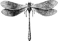 EAC029P.JPG