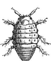EAC029OO.JPG