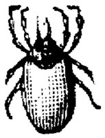 EAC029O.JPG