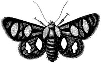 EAC029M.JPG