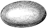 EAC029LL.JPG
