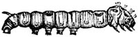 EAC029KK.JPG