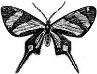 EAC029K.JPG
