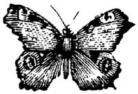 EAC029I.JPG