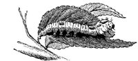 EAC029HH.JPG