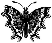EAC029G.JPG