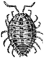 EAC029EE.JPG