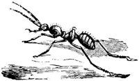 EAC029E.JPG