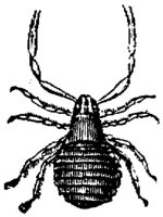 EAC029DD.JPG