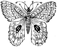 EAC029D.JPG