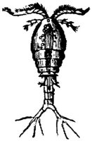 EAC029CC.JPG