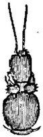 EAC029BB.JPG