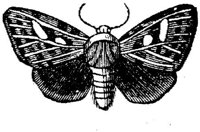 EAC029B.JPG